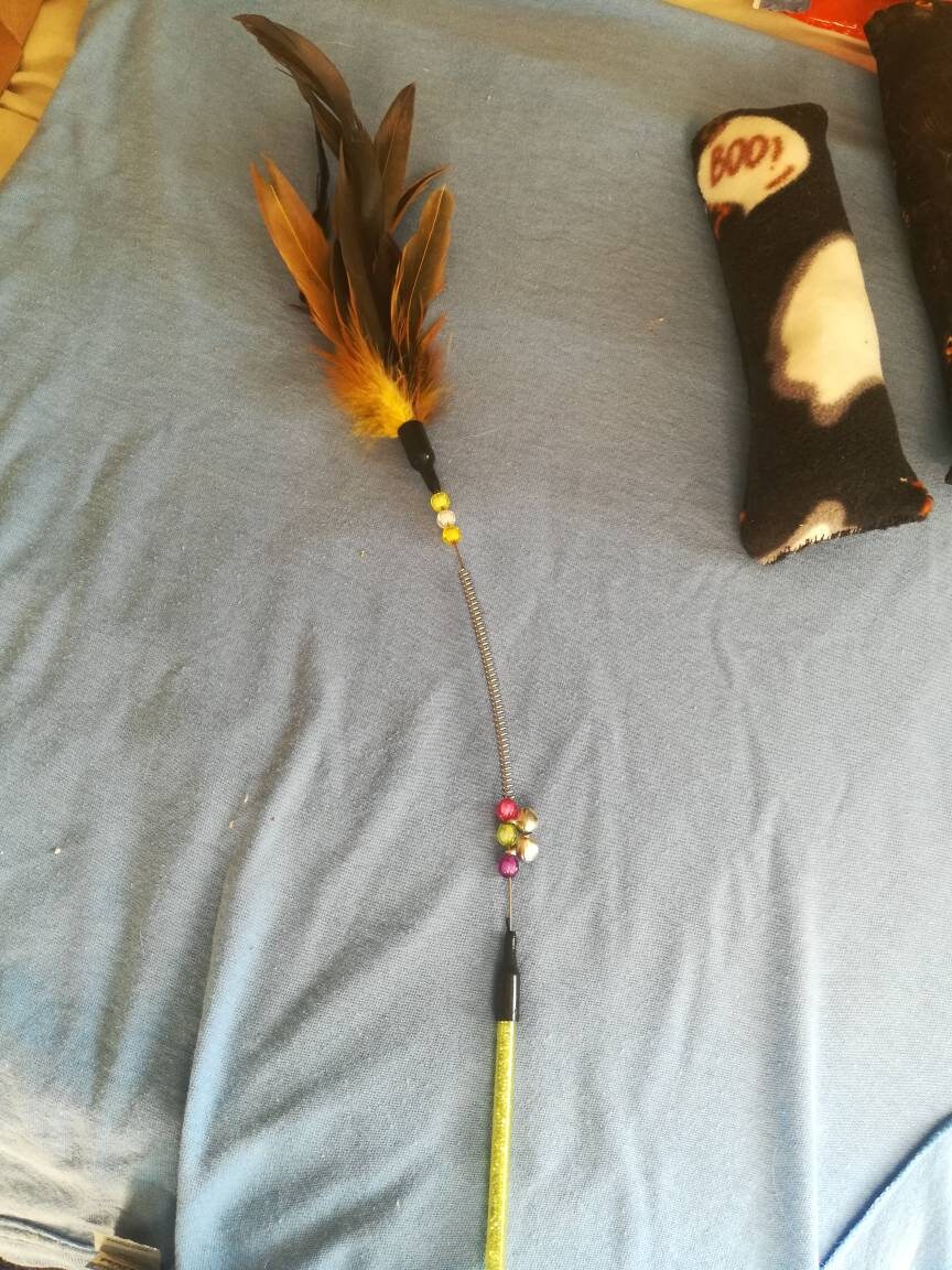 Cat Gift Box Kickers Knots Balls Spiders Spring Mouse Treats Halloween Themed