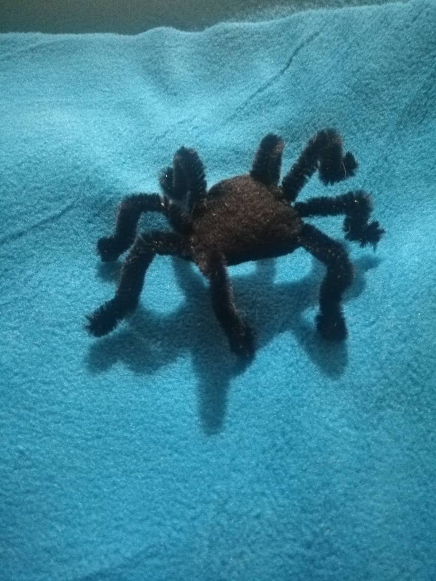 Cat Toy Potent Valerian Root Spiders With Added Rattle Prey Play Encouragement Pack of 4.