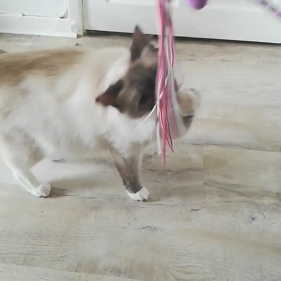 Cat Toy Pom Pom Tassel Teaser Wand Kitten Wire Chaser Interactive Prey Play